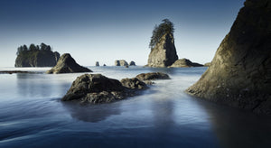 
                  
                    Load image into Gallery viewer, 2023 Olympic National Park Workshop with Julian Calverley - All Inclusive
                  
                