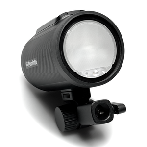 
                  
                    Load image into Gallery viewer, Profoto A2 Pack Light - Certified Used
                  
                