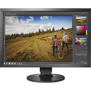 
                  
                    Load image into Gallery viewer, EIZO ColorEdge CS2420 24&amp;quot; 16:10 IPS Monitor
                  
                