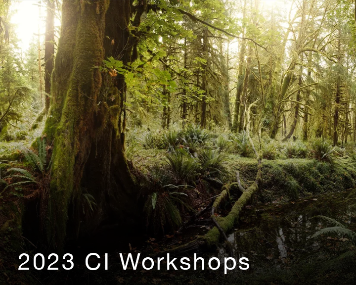 
                  
                    Load image into Gallery viewer, 2023 Olympic National Park Workshop with Julian Calverley - Workshop Only
                  
                