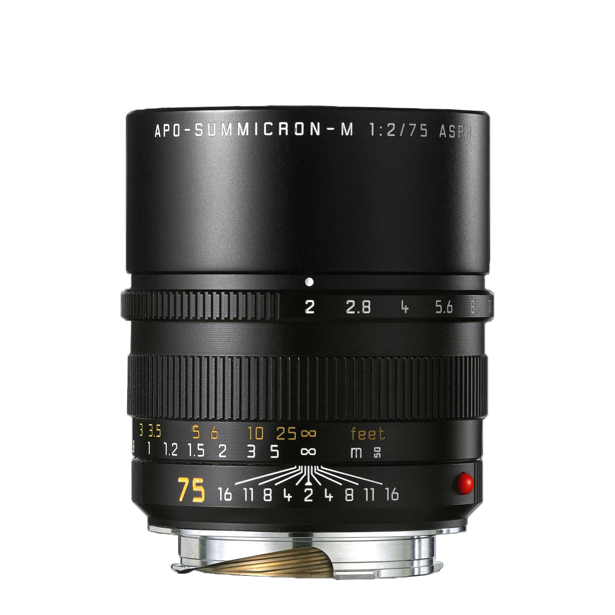 seagreen　Leica APO-SUMMICRON-M 75 leica_summicron_m_75_f2_asph_b